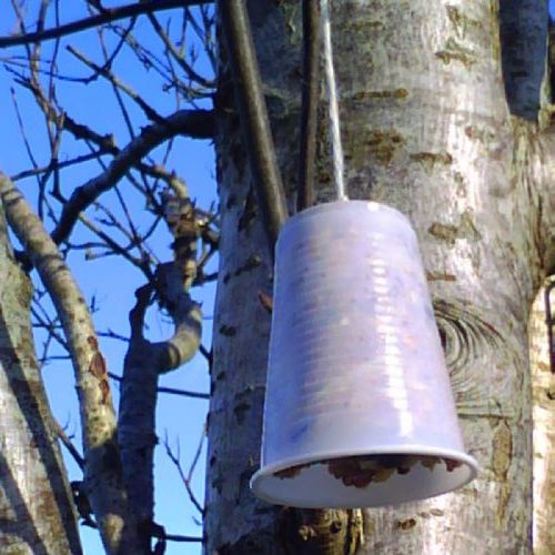 Making Bird feeders